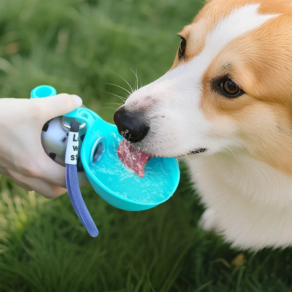 Dog Water Bottle with Removable Silicone Bowl, Stainless Steel